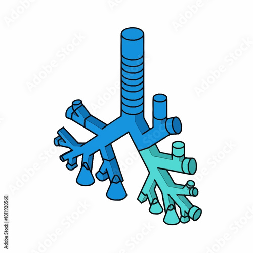 Detailed illustration of the human respiratory system anatomy in blue color.