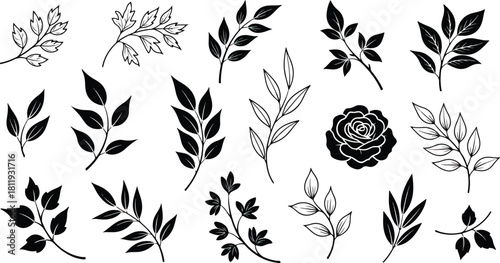 Big collection flowers, leaves, tree branches, berries. silhouettes of ornamental flower plants. Isolate on transparent background