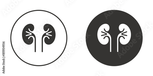 Human kidney organ icon set showing internal anatomy, health, medical, and urology concepts for educational or diagnostic applications, isolated vector graphic