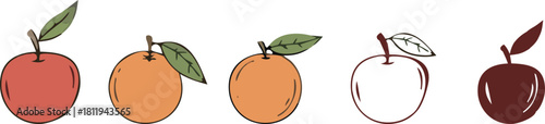 Apple and orange fruit illustration set