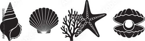 Set of various black and white sea shells, coral, starfish, and pearl in an oyster.