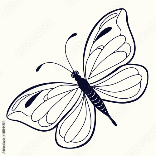 Outline Of A Butterfly With Open Wings insect lepidoptera