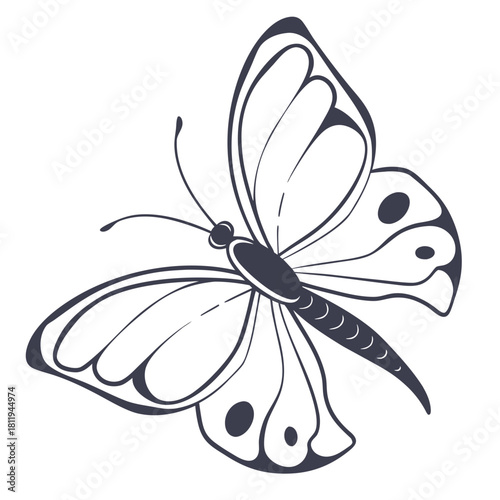 Stylized Butterfly With Detailed Wing Patterns insect lepidoptera
