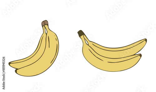 Banana yellow fruit illustration