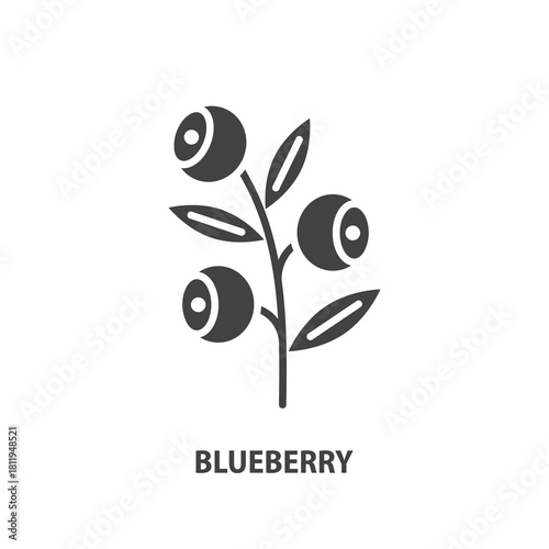 Blueberry glyph icon. Wild berry vector sign.
