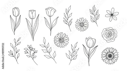 Floral Delights: An array of delicate floral designs in elegant, minimalist black and white, featuring a variety of flowers and botanical elements.