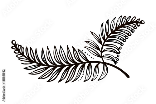 The delicate, feathery texture of a fern frond, with each leaflet unfurling to reveal its intr.