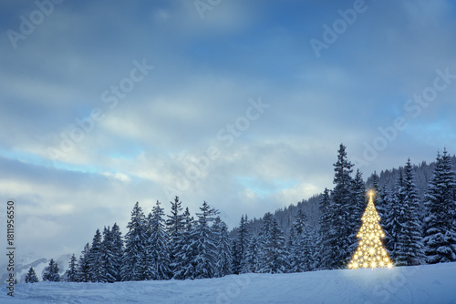 Christmas tree in the winter forest at night .
