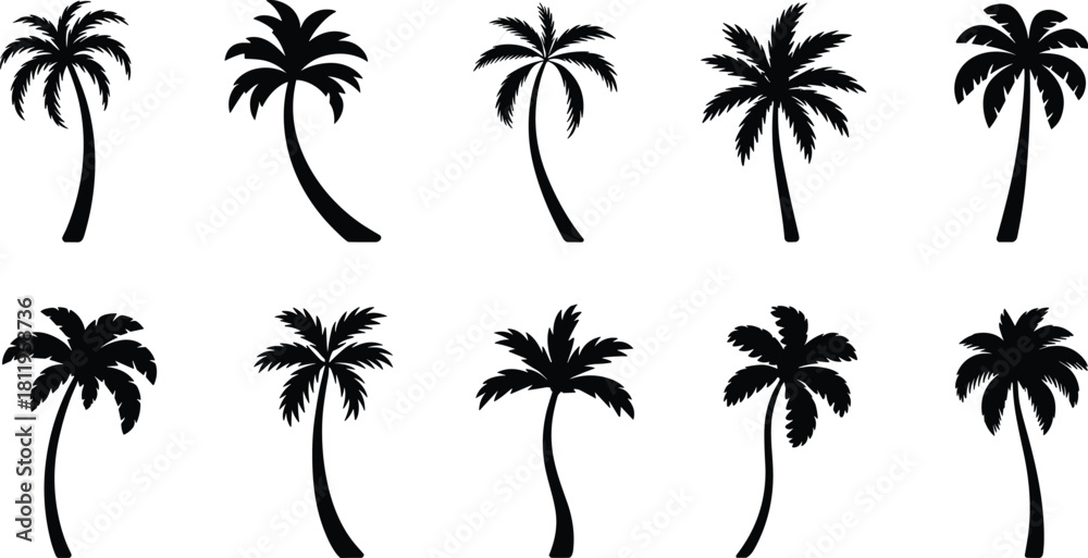 Fototapeta premium Palm tree silhouette vector collection, tropical beach tree icons for summer landscape design, exotic island nature elements, cad drawing flat vector illustration