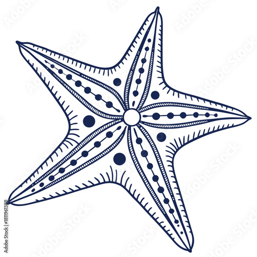 Blue Hand Drawn Starfish Illustration Keywords: starfish, sea star, marine life, ocean