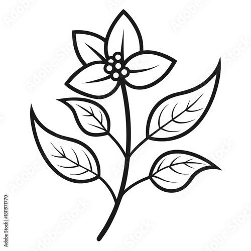 vector black and white flower