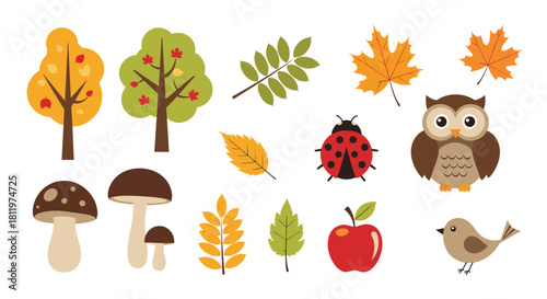 Cute collection of autumn forest elements including trees leaves an owl mushrooms and a ladybug isolated on a white background.