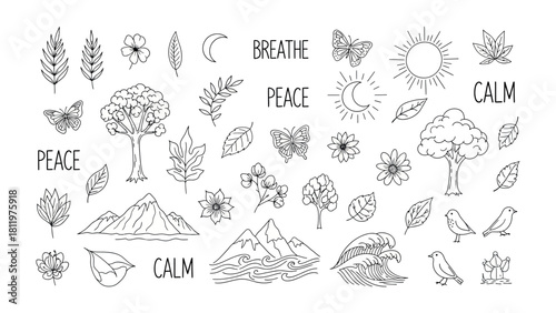  Tranquility in Sketch: A collection of hand-drawn illustrations and inspiring words that evoke calmness and inner peace. Delicate natural elements and motivational terms.