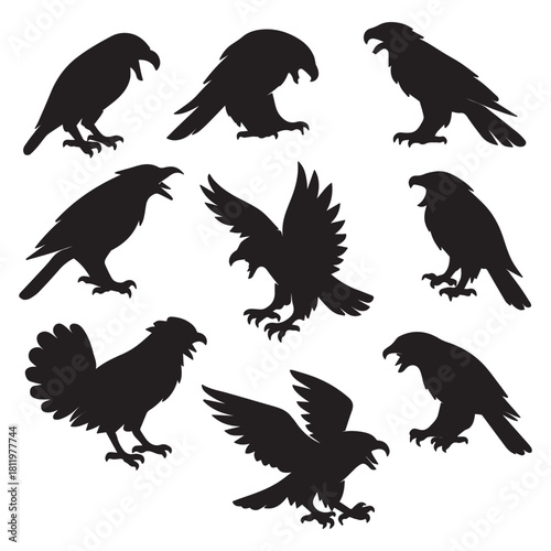 Fierce black bird silhouettes with sharp beaks and flared wings, expressing wild power and fury