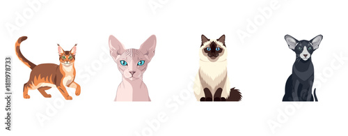 Illustration of four distinct cat breeds on white background