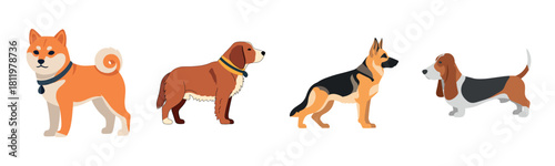 Illustrated dog breeds: shiba inu, golden retriever, german shepherd, basset hound