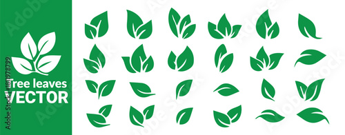 Collection of various green leaves, simple foliage icons for natural and organic designs