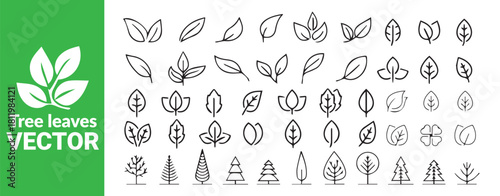 Tree leaves and trees vector set outline style natural and botanical design elements