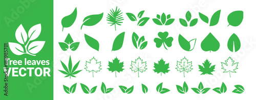 Set of green tree leaves vector collection including cannabis and maple leaf designs