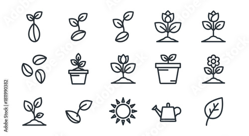A collection of minimalist black line art icons depicting plant growth stages, from seed to flower, including gardening tools like a watering can and the sun.