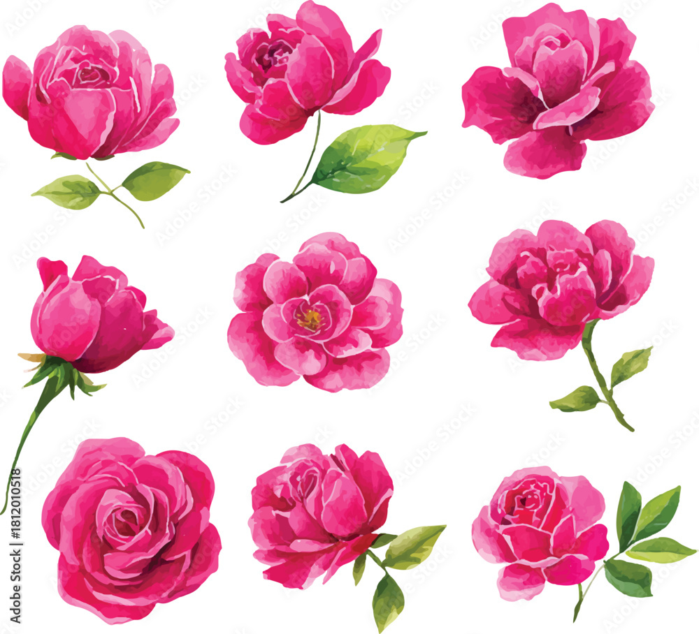 Naklejka premium set of pink roses
