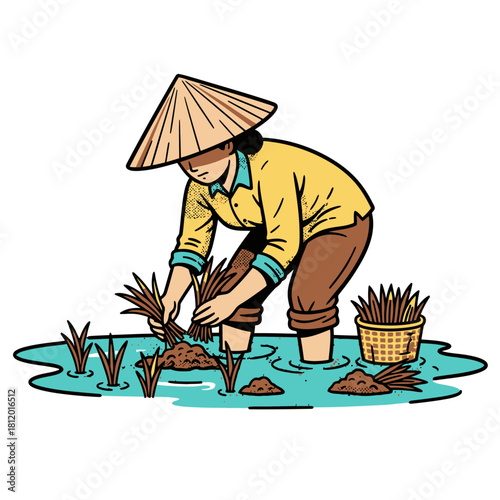 Asian farmer wearing a conical hat, planting rice seedlings in a paddy field with water and mud, illustrating traditional agriculture and farming, vector