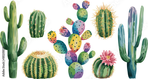 Colorful watercolor cactus illustration collection with desert plants, succulents, and blooming cacti, perfect for botanical design, nature decoration, print artwork