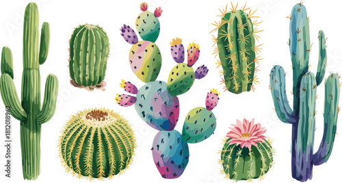 Colorful watercolor cactus illustration collection with desert plants, succulents, and blooming cacti, perfect for botanical design, nature decoration, print artwork
