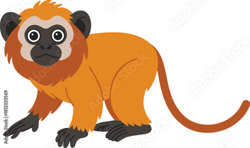 Cute cartoon illustration of golden lion tamarin monkey, tropical wildlife animal character with orange fur and long tail for education design