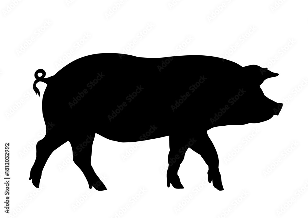 Fototapeta premium Domestic pig silhouette - vector illustration