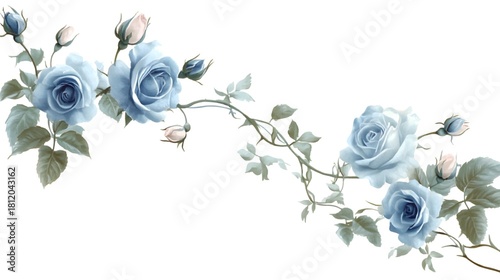 Delicate blue rose blossoms form a gracefully curving floral arrangement across a white background.