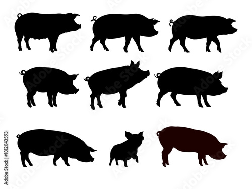 domestic pig silhouette set - vector illustration