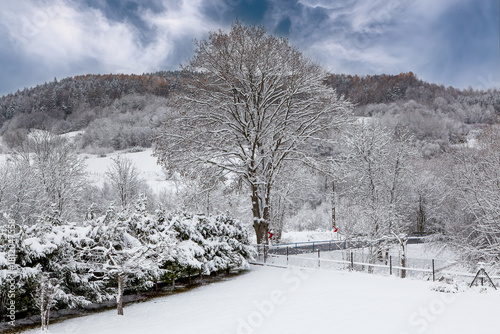 Fototapeta Naklejka Na Ścianę i Meble -  Winter mountain landscape in the Carpathians