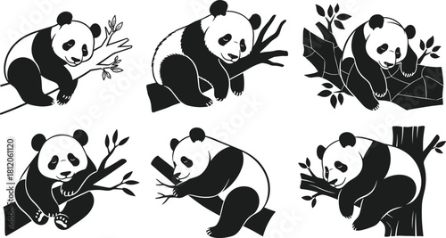 Adorable giant panda bear sleeping and resting on thick tree trunk and bamboo branches vector silhouette collection, simple black and white design.