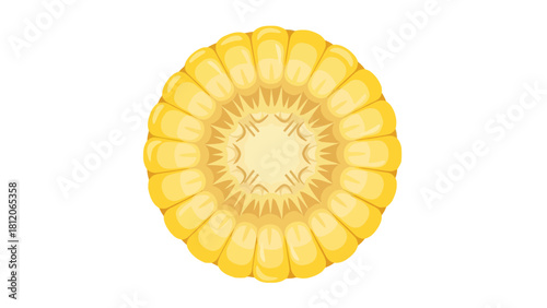 A crosssection of a bright yellow ear of corn