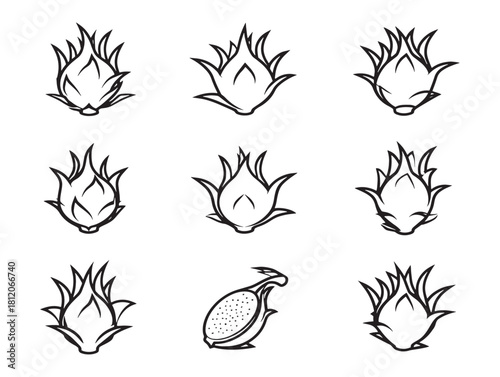 Dragon Fruit Ultra Minimalist 2D Line Art Icon Set Modern Fresh Fruit Vector Illustration