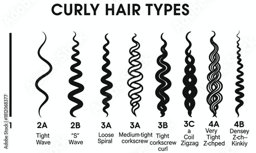 Vector illustration set of diverse curly hair patterns and types, a chart for identifying textures from wavy and spiral to zig-zag and kinky. 11