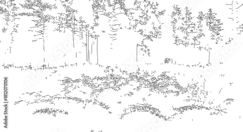 Abstract black and white sketch of a dense forest or park scene with trees and low vegetation rendered in a grainy, high contrast style on transparent 