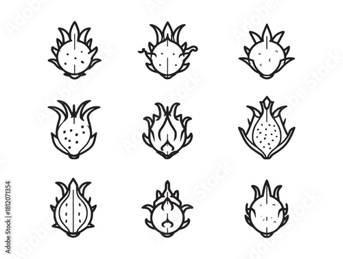 Ultra Minimal Dragon Fruit Icons Set Simple Clean Line Art Exotic Fruit Design Elements