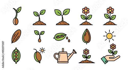 Colorful Vector Illustrations of Growing Plants, Seeds, and Gardening Elements.