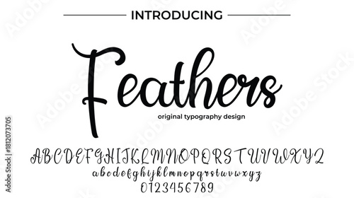 Feathers - Elegant Script Font for Smooth Handwritten Design and Creative Typography