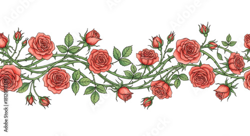Seamless border of red roses and green leaves on a thorny vine.
