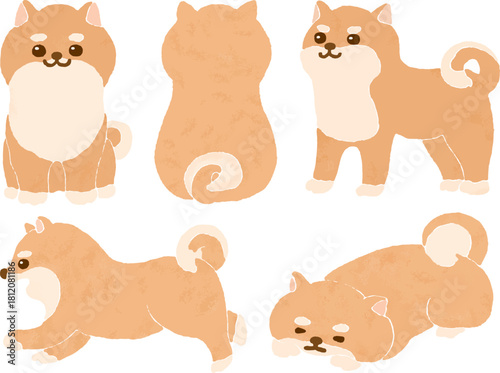 いろいろなポーズの柴犬のイラストセット