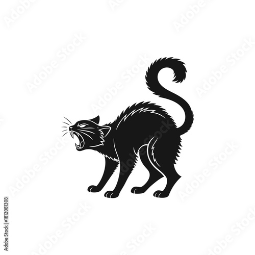 Frightened Black Cat Silhouette