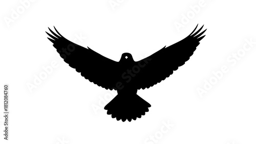 Black silhouette of a bird with wings spread wide