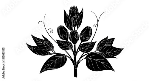 Elegant botanical illustration of a flowering plant with leaves and buds.