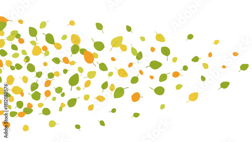 Falling autumn leaves of green yellow and orange on a white background