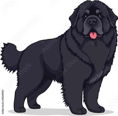 Cute cartoon a illustrator vector Newfoundland dog
