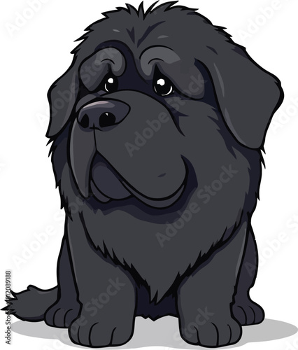 Cute cartoon a illustrator vector Newfoundland dog