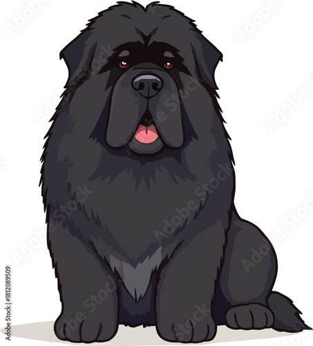 Cute cartoon a illustrator vector Newfoundland dog